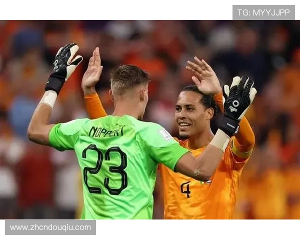 斗球网页版：用户评价与社区交流平台助你玩转在线足球游戏