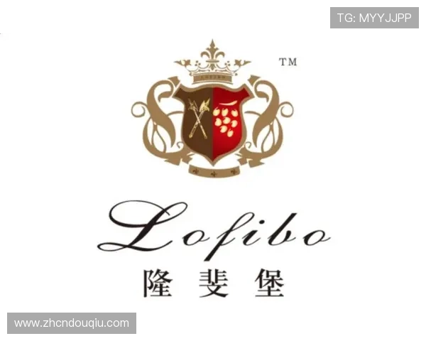 苹果用户必看斗球体育app下载最新版本，详细步骤教你快速安装与使用攻略